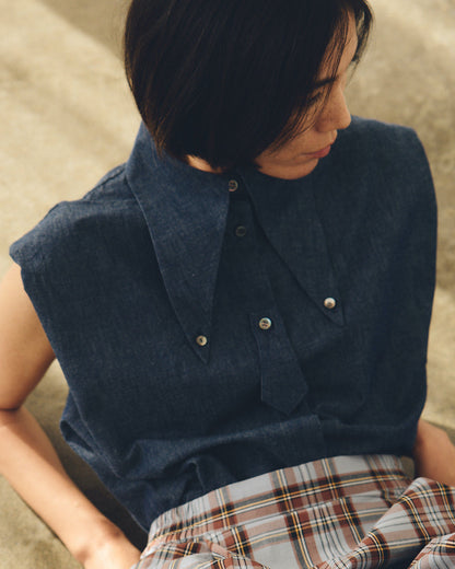 sleeveless big collar top